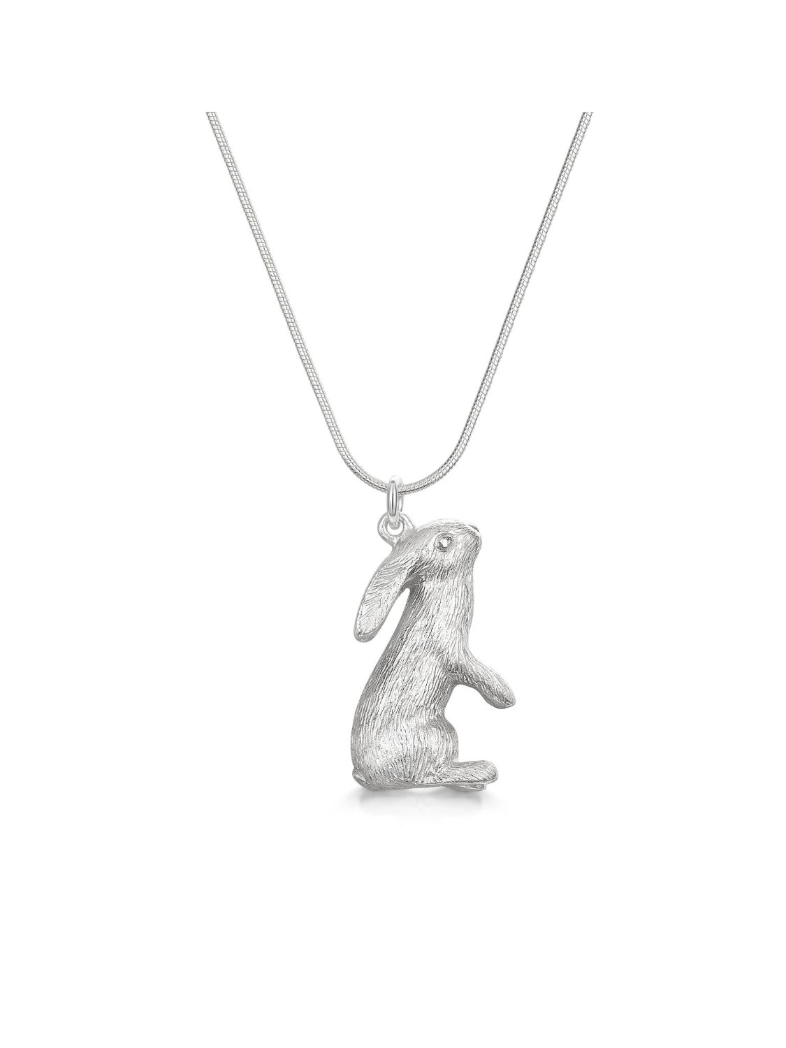 Moon gazing hare