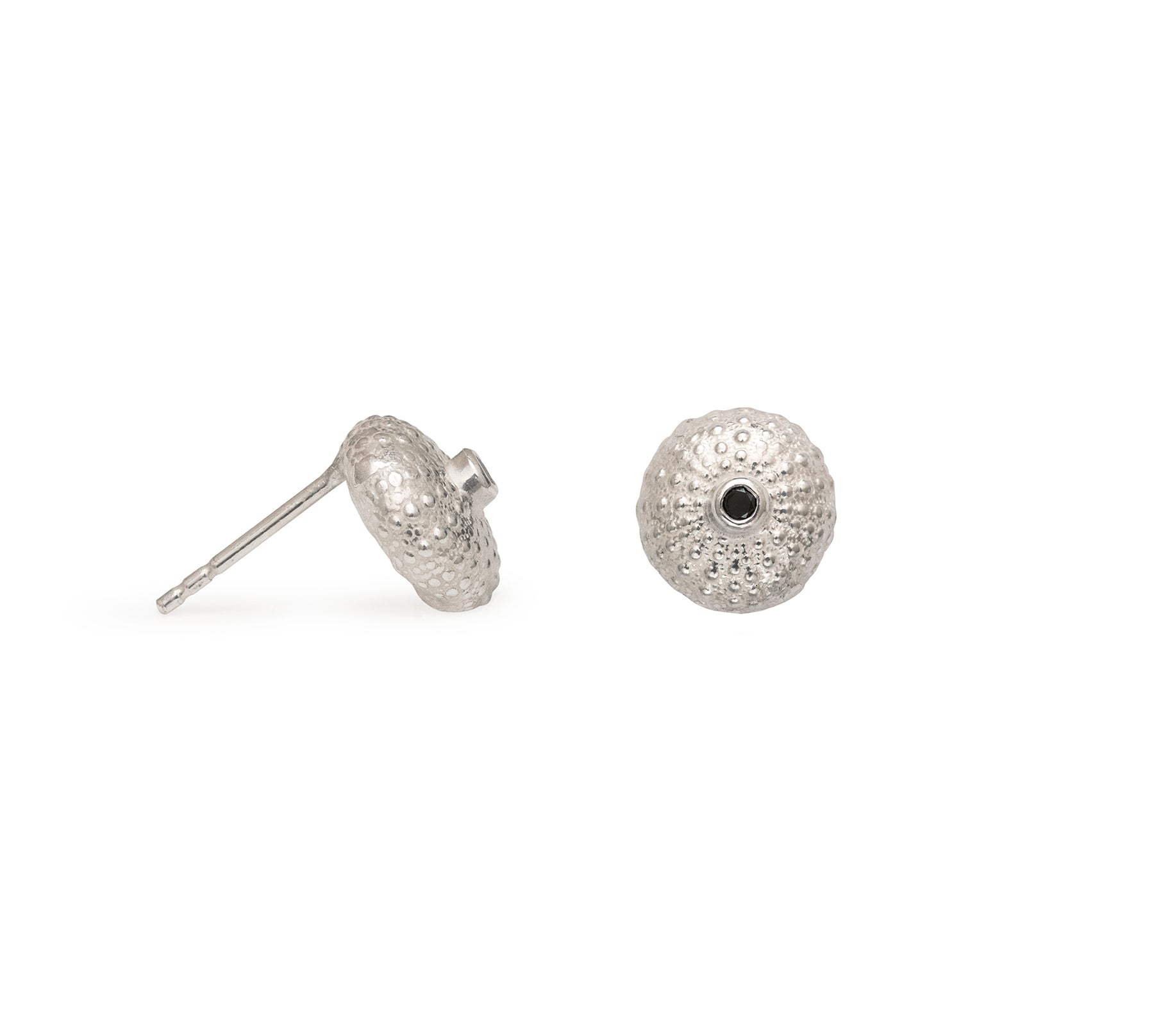 Sea urchin studs