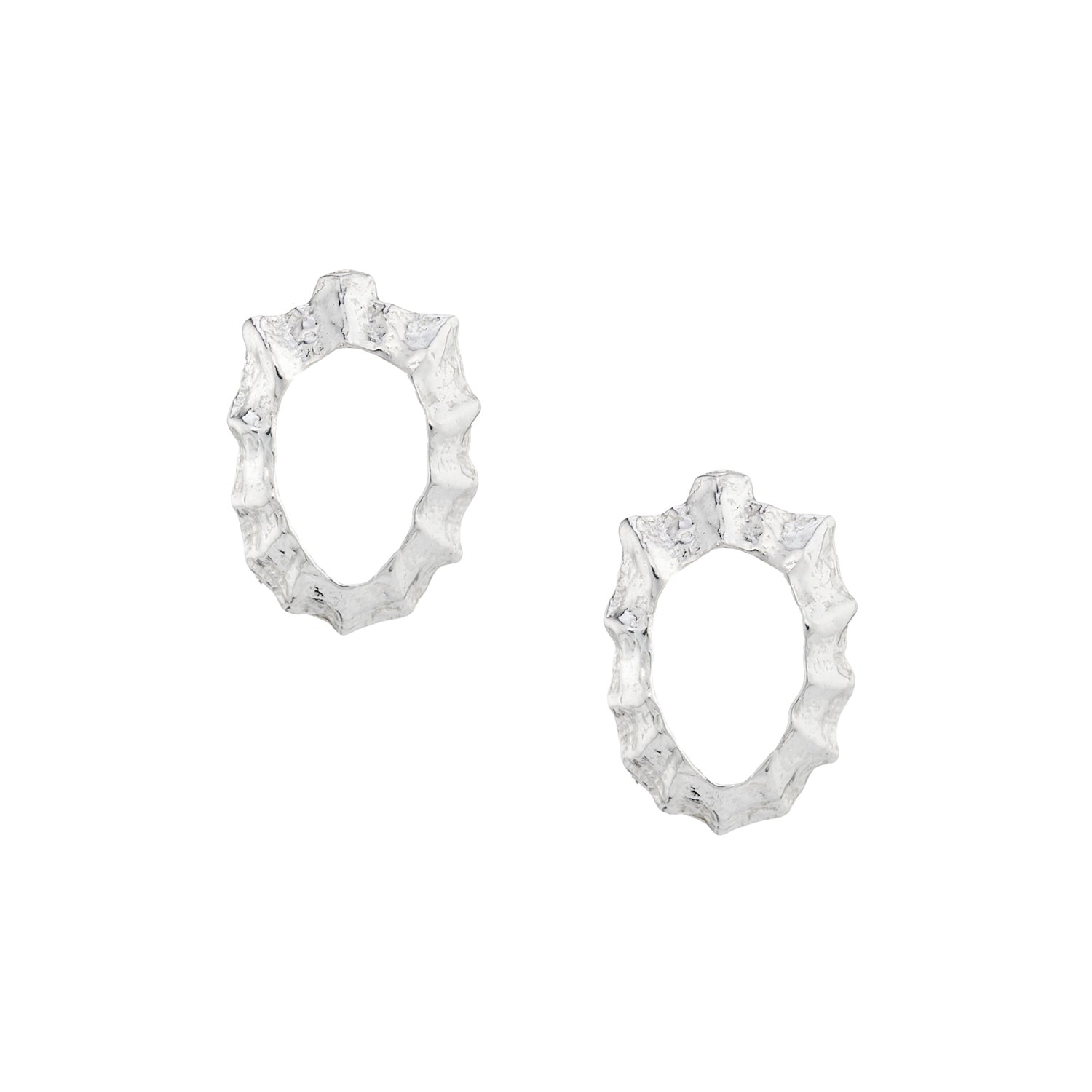 Open limpet shell stud earring