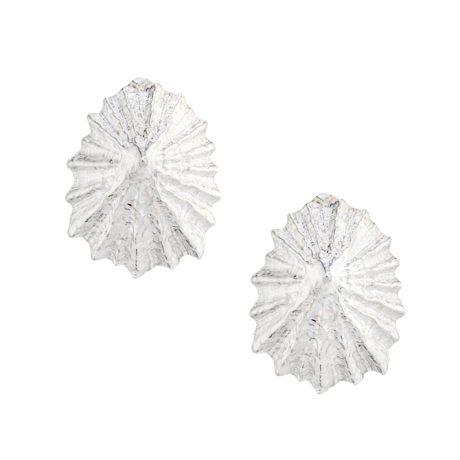 Limpet shell stud earrings