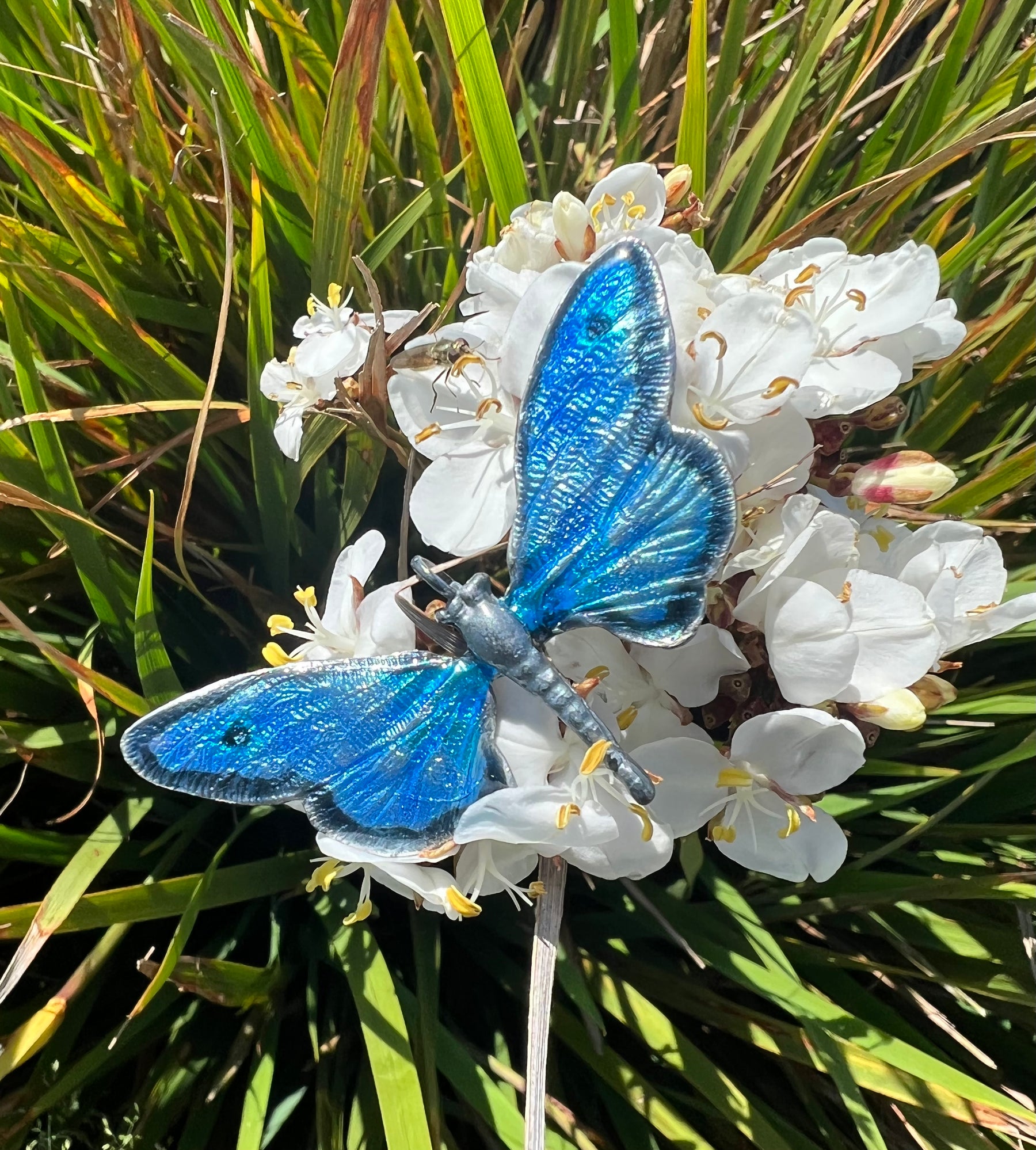 Enamel Butterfly Pendant