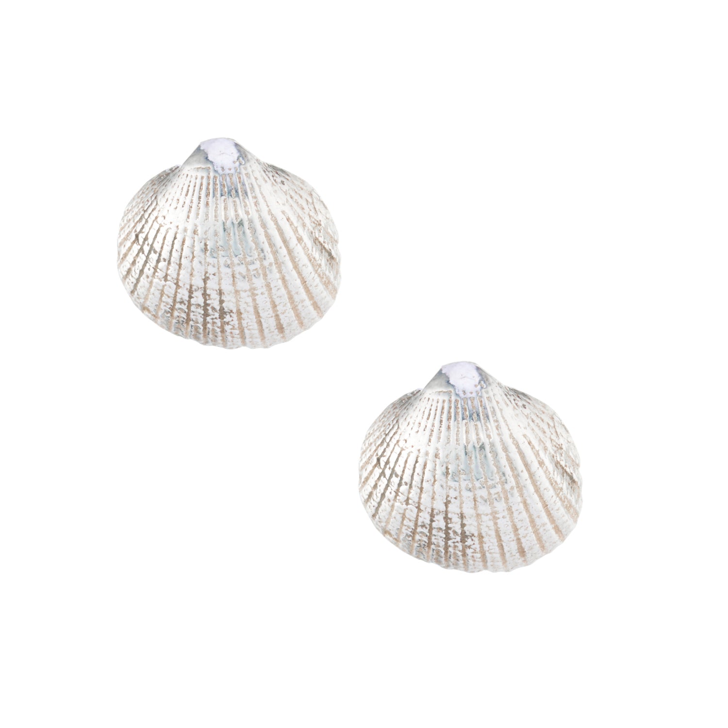 Clam Shell Earrings