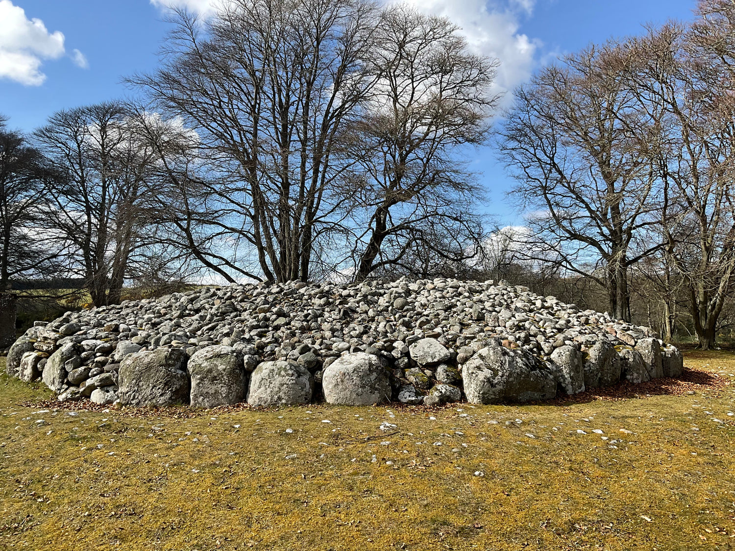 Through the stones