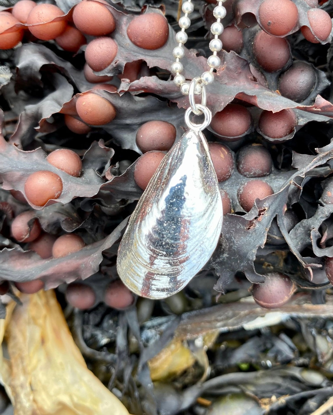 Medium Mussel Pendant