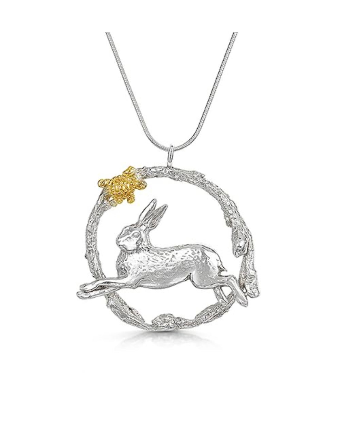 The hare and the tortoise