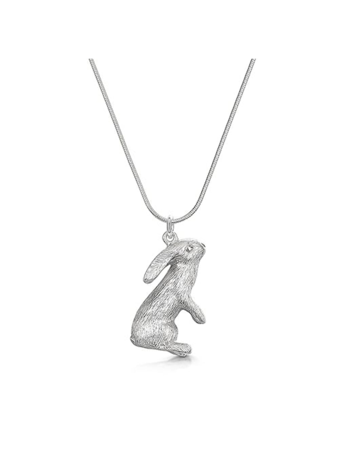 Moon gazing hare