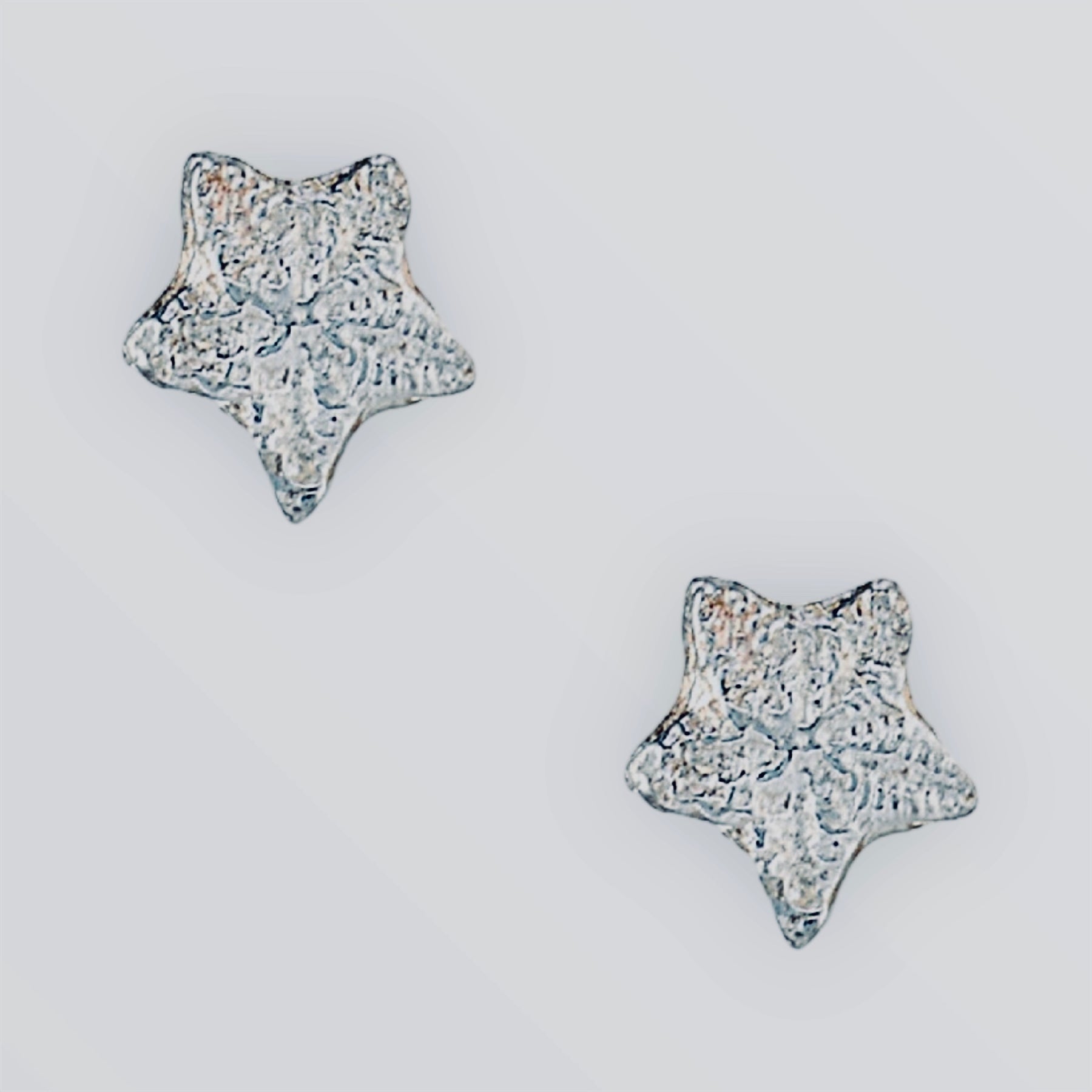 Crinoid star (Fairy coin) earstuds