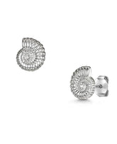 Ammonite stud earrings