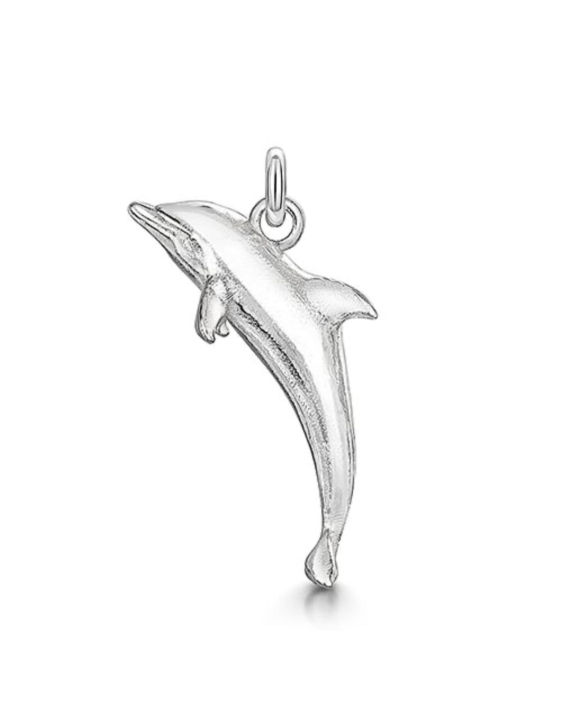 Charlie the dolphin pendant