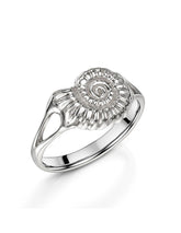 Ammonite ring