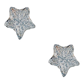 Crinoid star (Fairy coin) earstuds