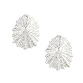 Limpet  shell stud earrings