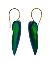 Beetle wing drop earrings